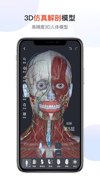 口袋人体解剖app1