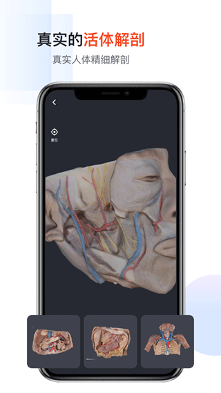 口袋人体解剖app4