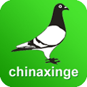 中国信鸽信息网app最新版