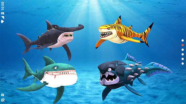 我的鲨鱼秀游戏2