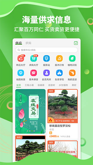 苗木通app1