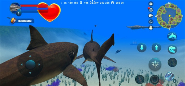巨齿鲨模拟器官方正版3