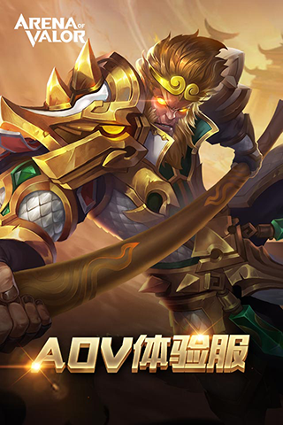 arena of valor5