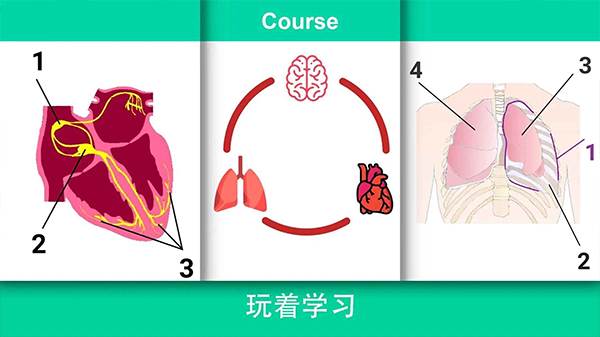 真实医疗模拟器汉化破解版4