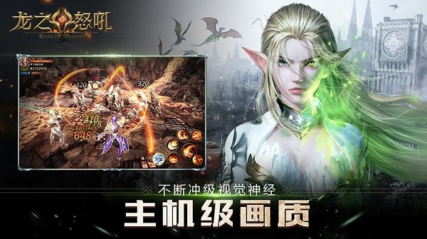 龙之怒吼无限钻石修改版3